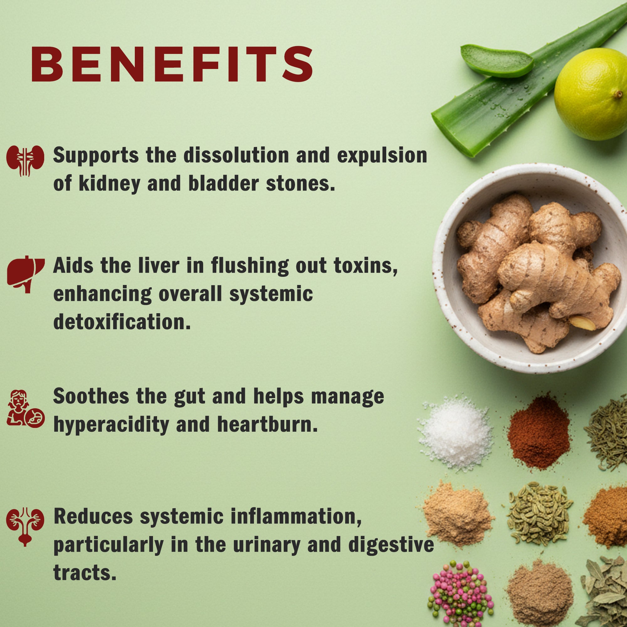 Trinadi TN-ASHMAVEDA Tablets | Ayurvedic Gallstone Care & Liver Support | Promotes Bile Flow, Digestion, Detox & Gallbladder Health | Natural Herbal Supplement