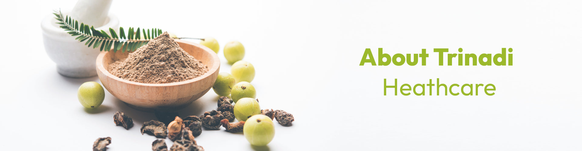 Trinadi Healthcare Pvt. Ltd.